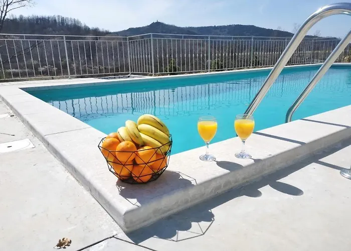 Forest Serenity 파진