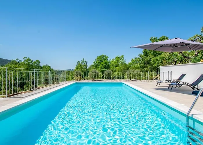 Forest Serenity 파진