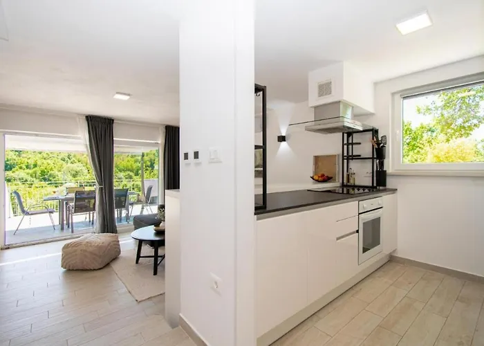 Forest Serenity * 파진