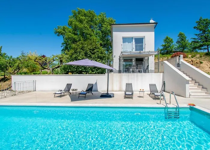 Forest Serenity 파진